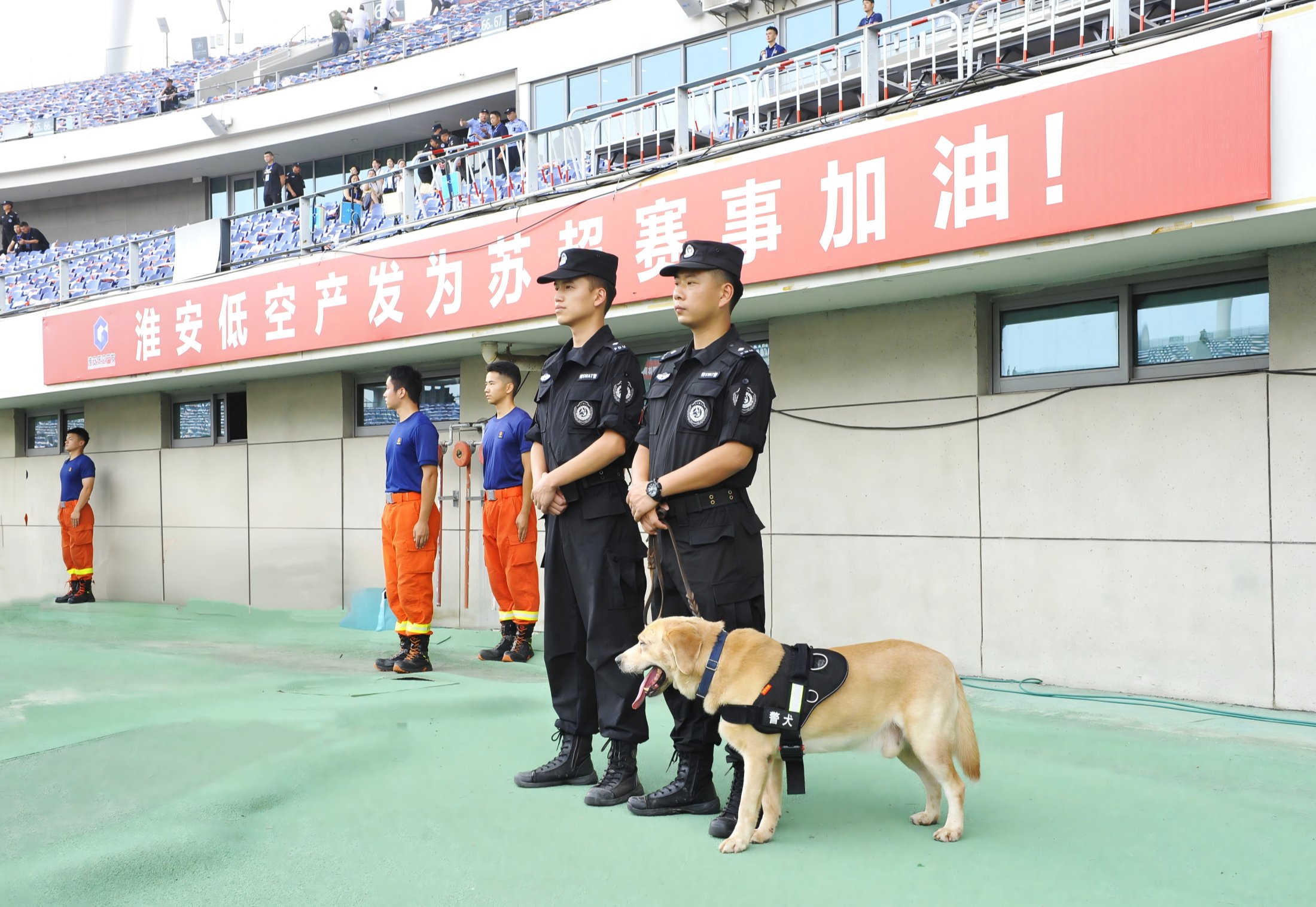 _DSC8834(1)_副本_副本 _DSC8834(1)_副本_副本