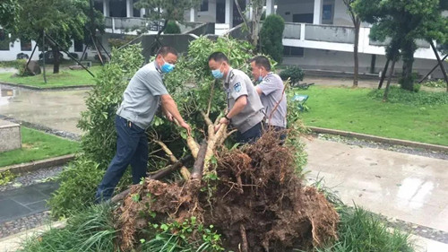 12498475_微信圖片_20200822094657_副本.jpeg 12498475_微信圖片_20200822094657_副本.jpeg