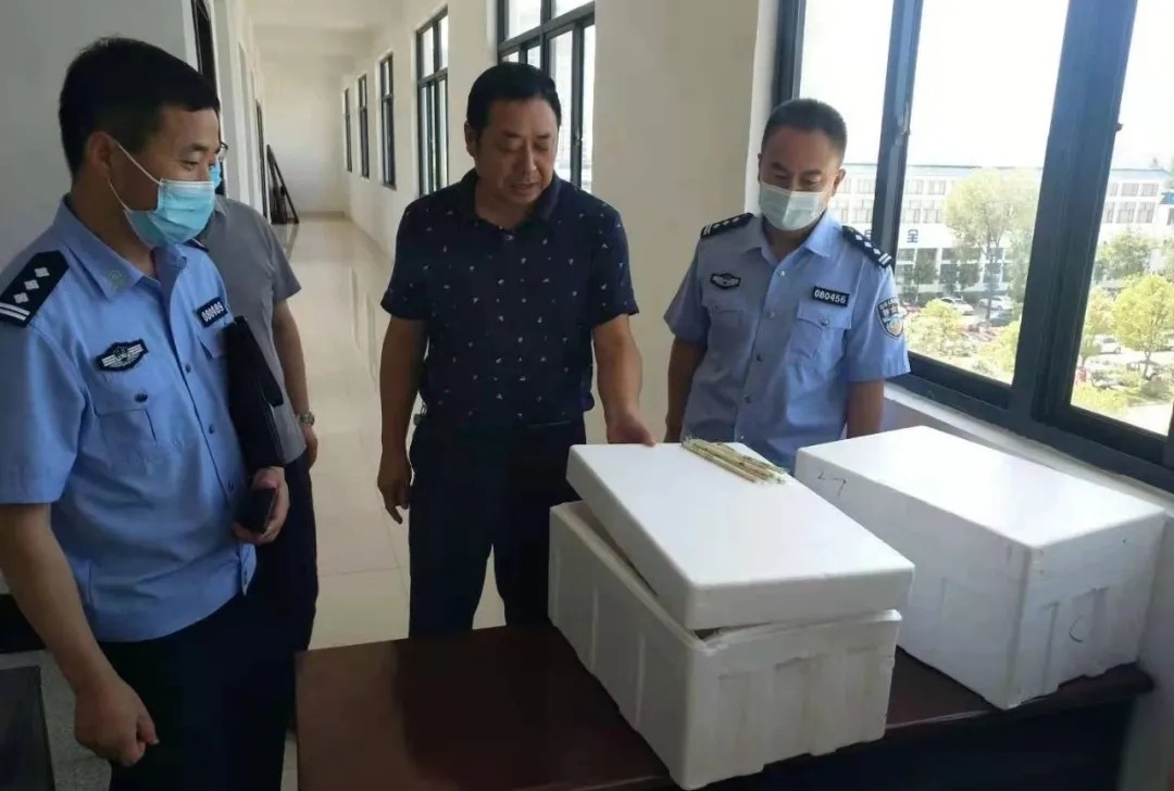 640.webp.jpg 640.webp.jpg