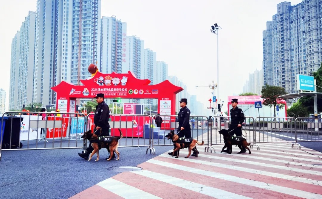 640.webp (12).jpg 640.webp (12).jpg